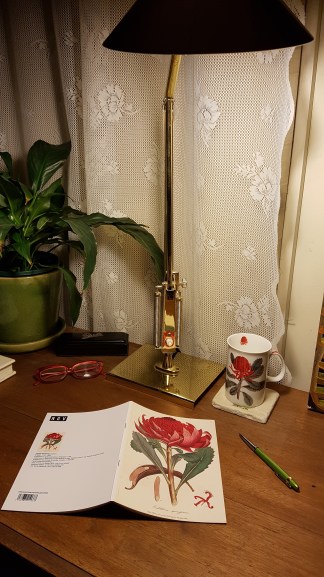 waratah cup + notebook 20181016_002636